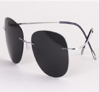 Titanium Polaroid - unisex sunglasses